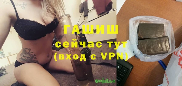 стаф Дмитровск