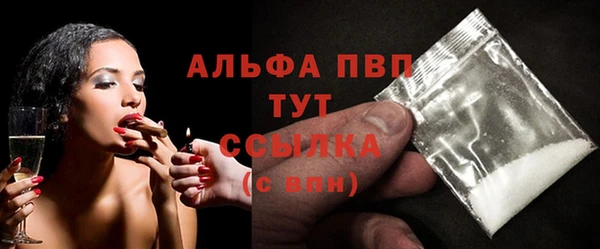 эйфоретик Няндома
