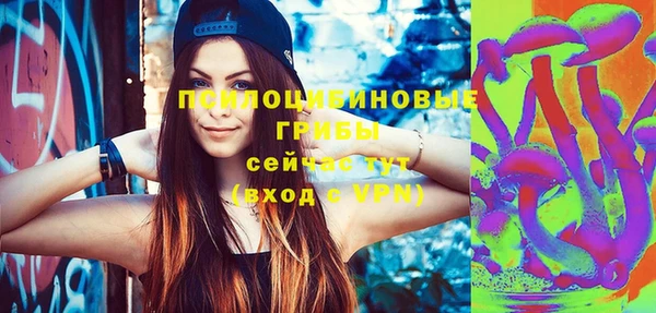 хмурый Нягань
