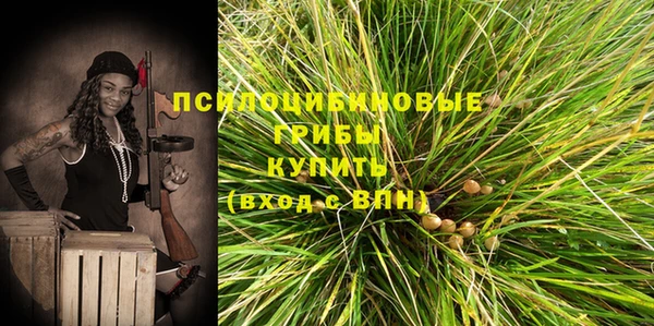 метамфетамин Белокуриха