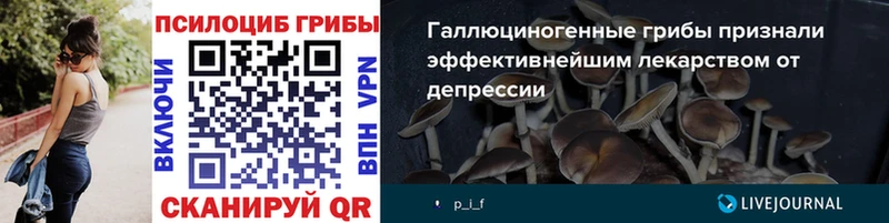 Галлюциногенные грибы Cubensis  купить   Шилка 